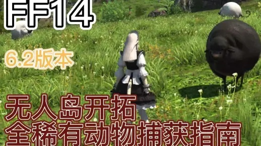 《FF14》6.2无人岛攻略:新手开荒必备技巧揭秘 《FF14》6.2无人岛攻略:新手开荒必备技巧揭秘