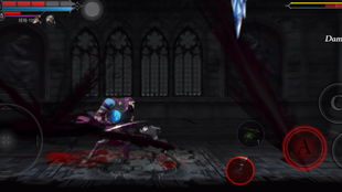 第三次生日攻略,阿雅怎么无伤过最终BOSS?2025独家隐藏机制实测 第三次生日攻略,阿雅怎么无伤过最终BOSS?2025独家隐藏机制实测