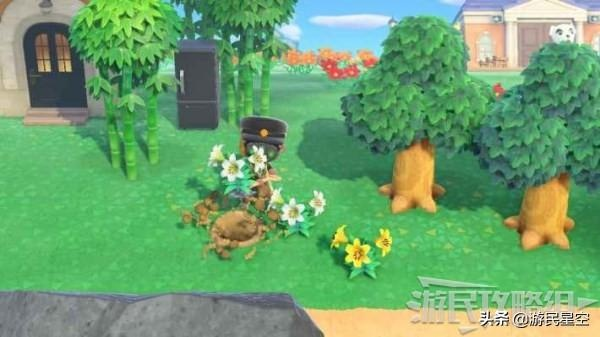 园艺秘籍:解锁《动物森友会》灌木种植高阶技巧 园艺秘籍:解锁《动物森友会》灌木种植高阶技巧