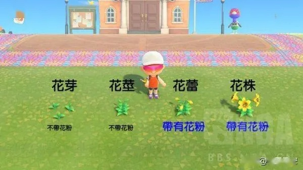 《动物森友会》花卉杂交秘籍：轻松集齐多彩花海攻略