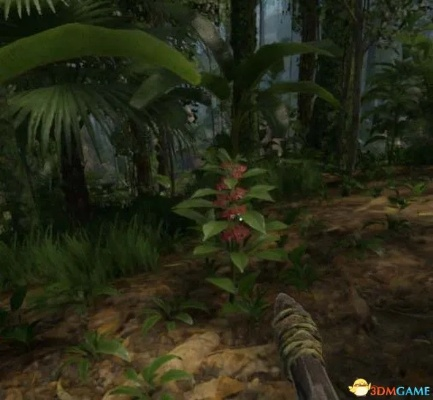 《绿色地狱》地狱模式攻略：深度解析全流程技巧揭秘秘籍