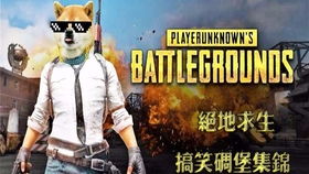 《绝地求生》PPC第四周精彩集锦:五大高能瞬间回顾 《绝地求生》PPC第四周精彩集锦:五大高能瞬间回顾