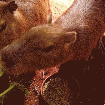 幸运码头深度解析：揭秘全新战略价值点