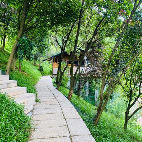 森林探险地图秘境盘点一览 森林探险地图秘境盘点一览