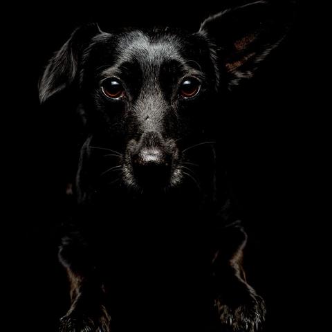 悲伤第三章,隐藏结局触发竟需3个未公开情绪节点?老玩家都踩过的坑 悲伤第三章,隐藏结局触发竟需3个未公开情绪节点?老玩家都踩过的坑