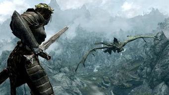 《上古卷轴4》暗影剑+乌木套开局攻略，轻松入手！