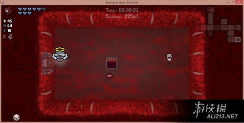 《以撒结合胎衣新BOSS攻略：高效打法揭秘》