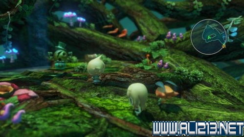 《最终幻想世界》地图全收集攻略：高效路线揭秘