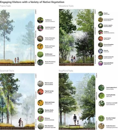 《Atlas》资源揭秘：植物动物分布全景图