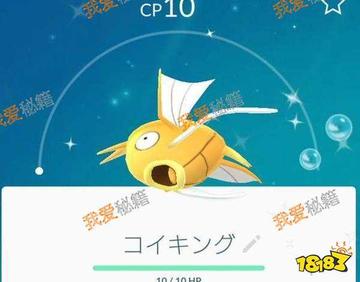 皮卡丘盖欧卡同款鱼饵,捕捉梦幻之鱼! 皮卡丘盖欧卡同款鱼饵,捕捉梦幻之鱼!