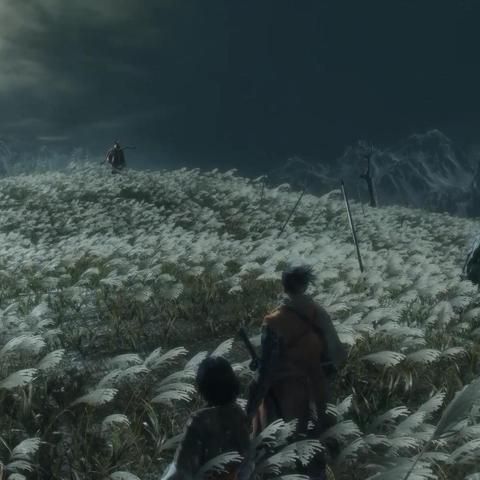 只狼:影逝二度Steam售价揭秘,性价比之选! 只狼:影逝二度Steam售价揭秘,性价比之选!