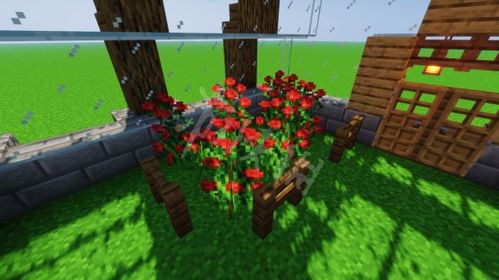 千柱花园秘境解锁攻略:轻松掌握秘境开启新技巧 千柱花园秘境解锁攻略:轻松掌握秘境开启新技巧