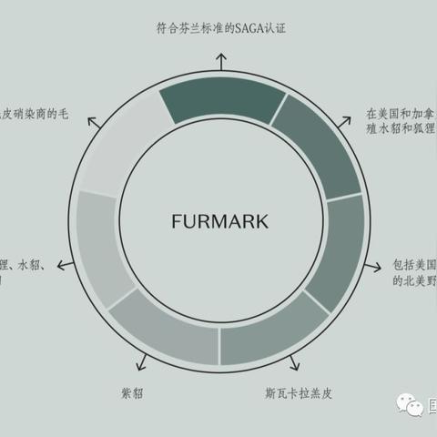 为什么老玩家都蹲超级地城之光官网?2025隐藏福利&职业攻略入口全揭秘 为什么老玩家都蹲超级地城之光官网?2025隐藏福利&职业攻略入口全揭秘