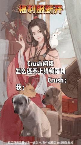 《大叔与猫》改编游戏来袭!萌化你的心! 《大叔与猫》改编游戏来袭!萌化你的心!