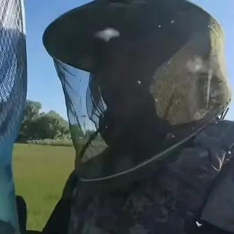 《霍格沃茨之遗》探秘攻略：一网打尽隐形兽雕像分布