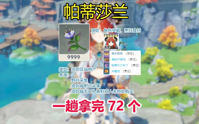 帕蒂莎兰速刷攻略,高效收集新体验 帕蒂莎兰速刷攻略,高效收集新体验