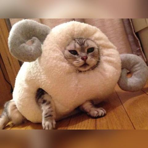 羊羊大世界3D解析：揭秘《羊了个羊》3月22日全新视觉盛宴