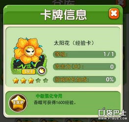 《大侠体质秘籍：揭秘升级美食攻略》