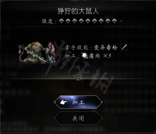 《八方旅人2》猎人必备宠物攻略，强力宠物推荐与实用分享指南