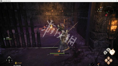 《卧龙苍天陨落》喂狗组羽毛包爽体验攻略，深度解析新玩法！