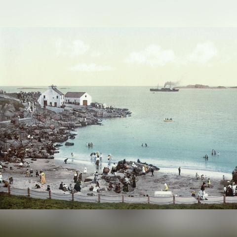 《饥荒》MOD攻略：深度解析提莫、安妮使用技巧与优势