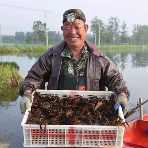 《旗帜传说2》新篇章揭晓：探寻未知，发售预告来袭