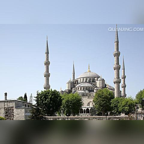 《苏丹游戏剧情揭秘：小圆事件精选攻略》