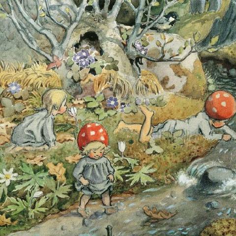 《森林之子》武器装备速成攻略，解锁最强战斗力秘籍