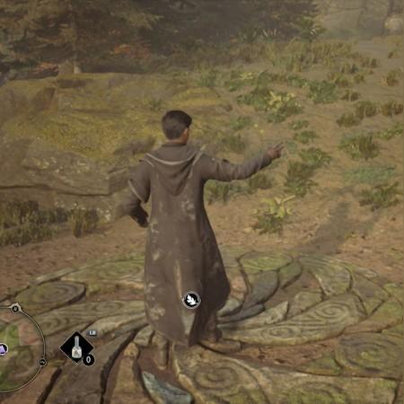 《霍格沃茨之遗》95梅林试炼攻略,解锁谜题新秘籍 《霍格沃茨之遗》95梅林试炼攻略,解锁谜题新秘籍