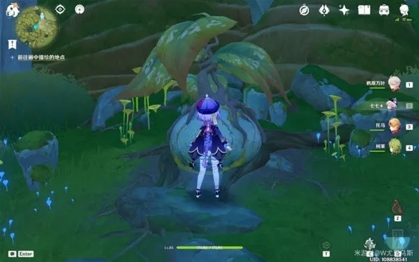 《原神》静态风景攻略揭秘：贴纸位置获取技巧解析