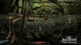 上古卷轴5新手攻略：揭秘高效开局秘籍，轻松掌握游戏精髓