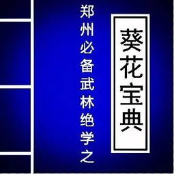 挥拳尊者绝学揭秘,武林秘籍新价值解析 挥拳尊者绝学揭秘,武林秘籍新价值解析