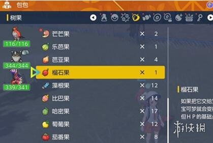 《宝可梦朱紫》树果寻踪攻略，解锁神秘果实新价值