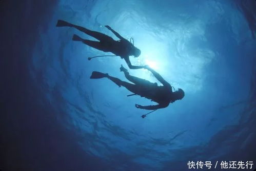 《深海探险家戴夫》揭秘：潜行奇遇与生存智慧深度解析