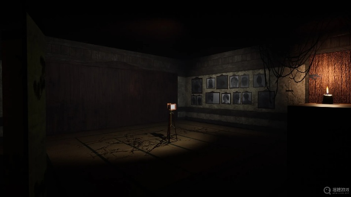 《怨念》双线攻略揭秘：深度解谜全流程解析新视角