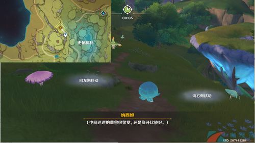 纳西妲传说任务宝箱全收集攻略，解锁隐藏价值点数秘籍