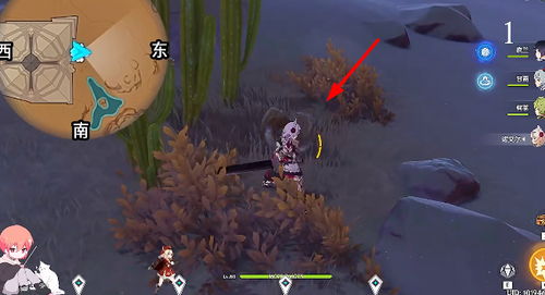 《原神》金蔷薇种子藏匿指南，探索新玩法！