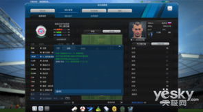 FIFA23升级补丁深度解析：全新体验与优化一览