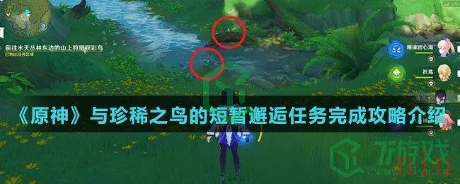 探索《原神》珍稀邂逅:解锁珍惜之鸟神秘邂逅攻略 探索《原神》珍稀邂逅:解锁珍惜之鸟神秘邂逅攻略