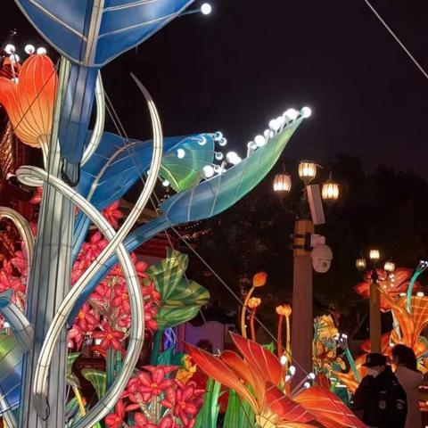 《山海奇遇记》奇花异草全搜集秘籍攻略大揭秘 《山海奇遇记》奇花异草全搜集秘籍攻略大揭秘