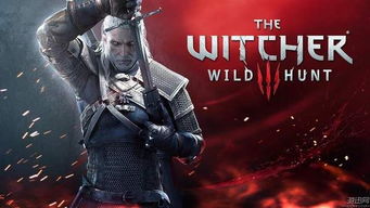 巫师3VR升级揭秘:CD Projekt财务会议曝爽点 巫师3VR升级揭秘:CD Projekt财务会议曝爽点