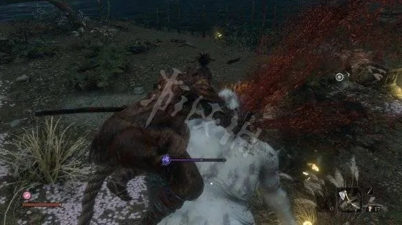 《只狼》全BOSS无伤攻略揭秘:掌握新技巧轻松通关 《只狼》全BOSS无伤攻略揭秘:掌握新技巧轻松通关