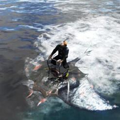 《方舟》新更新：魔鬼鱼坐骑登场，拉风体验等你来！