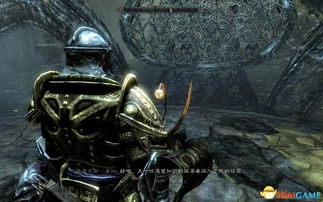 《上古卷轴5》龙裔手办亮相，龙族血统认证！