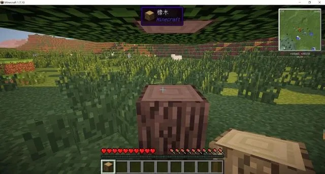 《我的世界》新手生存攻略：第一天生存技巧大揭秘！