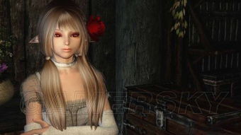 上古卷轴5独家美女随从MOD精选集 上古卷轴5独家美女随从MOD精选集