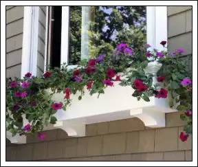 《无限暖暖》花箱秩序见闻攻略：独家技巧解锁！