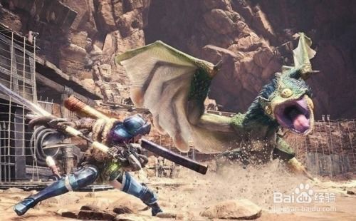 《荒野白炽龙狩猎，重弩安逸配装攻略》