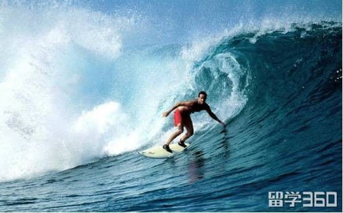 冲浪世界系列赛:揭秘冲浪魅力,体验刺激浪花之旅 冲浪世界系列赛:揭秘冲浪魅力,体验刺激浪花之旅