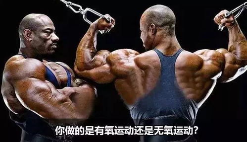 《裸装战士55级传奇!292小时挥拳百万次,硬刚硬核服》 《裸装战士55级传奇!292小时挥拳百万次,硬刚硬核服》